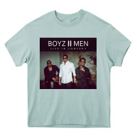Arona #boyz 2 men tour 2022 Heavy Core Tee - linhVisuals