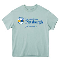Arona University Of Pittsburgh At Johnstown New Heavy Core Tee - linhVisuals