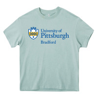 Arona University Of Pittsburgh At Bradford New Heavy Core Tee - linhVisuals