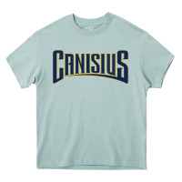 Arona Canisius Athletics Wordmark Heavy Core Tee - linhVisuals