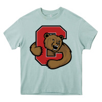 Arona Cornell Big Red Heavy Core Tee - linhVisuals