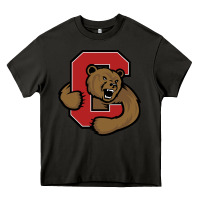 Asphalt Cornell Big Red Heavy Core Tee - linhVisuals