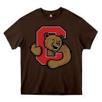 Chocolate Brown Cornell Big Red Heavy Core Tee - linhVisuals