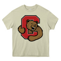 Mossy Cornell Big Red Heavy Core Tee - linhVisuals