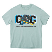 Quad City Storm Heavy Core Tee | Teevron