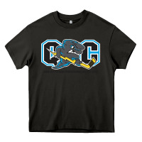 Asphalt quad city storm Heavy Core Tee - linhVisuals