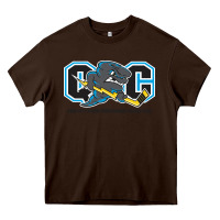 Chocolate Brown quad city storm Heavy Core Tee - linhVisuals
