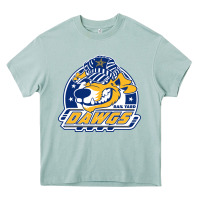 Arona roanoke rail yard dawgs Heavy Core Tee - linhVisuals