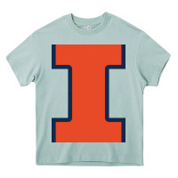 Arona Illinois Fighting Illini, Merch Heavy Core Tee - linhVisuals