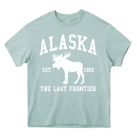 Arona alaska Heavy Core Tee - linhVisuals