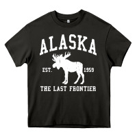 Alaska Heavy Core Tee | Teevron