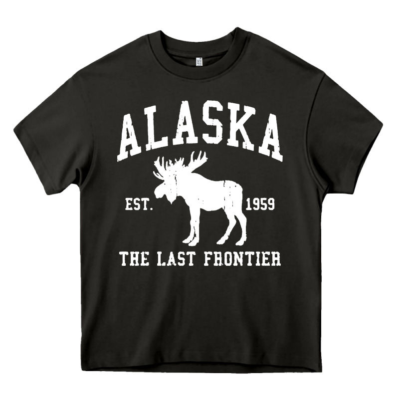 Alaska Heavy Core Tee by linhVisuals | Teevron
