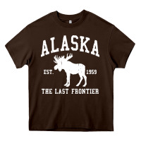 Chocolate Brown alaska Heavy Core Tee - linhVisuals