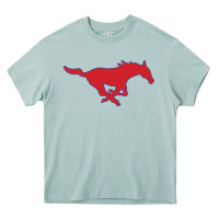 Arona smu mu5t4ng Heavy Core Tee - linhVisuals