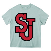 Arona st. john's red storm Heavy Core Tee - linhVisuals