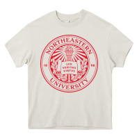 Cream northeastern university Heavy Core Tee - linhVisuals