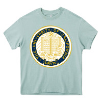 Arona university of california, davis Heavy Core Tee - linhVisuals