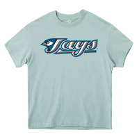 Arona The Jays Baseball Heavy Core Tee - linhVisuals