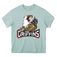 Arona Grand Rapids Griffins Heavy Core Tee - linhVisuals