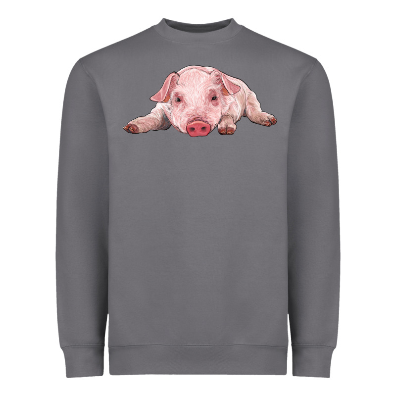 Baby Pig Heavyweight Sweatshirt by RanaPortraitStore | Teevron
