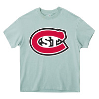 Arona St. Cloud State huskies, Merch Heavy Core Tee - linhVisuals