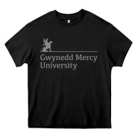 Black gwynedd mercy university Heavy Core Tee - linhVisuals