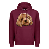Burgundy Cockapoo Premium Hoodie - Jasminsmagicworld