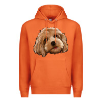 Carrot Cockapoo Premium Hoodie - Jasminsmagicworld