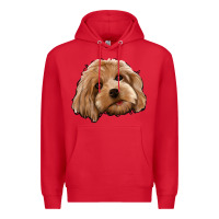 Red Cockapoo Premium Hoodie - Jasminsmagicworld