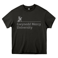Asphalt gwynedd mercy university Heavy Core Tee - linhVisuals