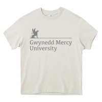 Cream gwynedd mercy university Heavy Core Tee - linhVisuals