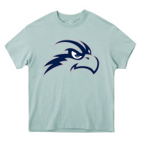 Arona north florida ospreys Heavy Core Tee - linhVisuals