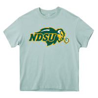 Arona north dakota state bison Heavy Core Tee - linhVisuals