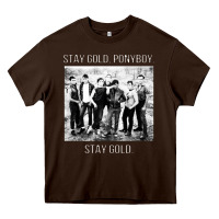 Chocolate Brown the outsiders Heavy Core Tee - linhVisuals