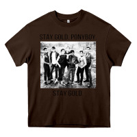 Chocolate Brown the outsiders Heavy Core Tee - linhVisuals