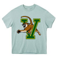 Arona vermont catamounts Heavy Core Tee - linhVisuals