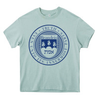 Arona Brandeis University Heavy Core Tee - linhVisuals