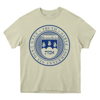 Mossy Brandeis University Heavy Core Tee - linhVisuals
