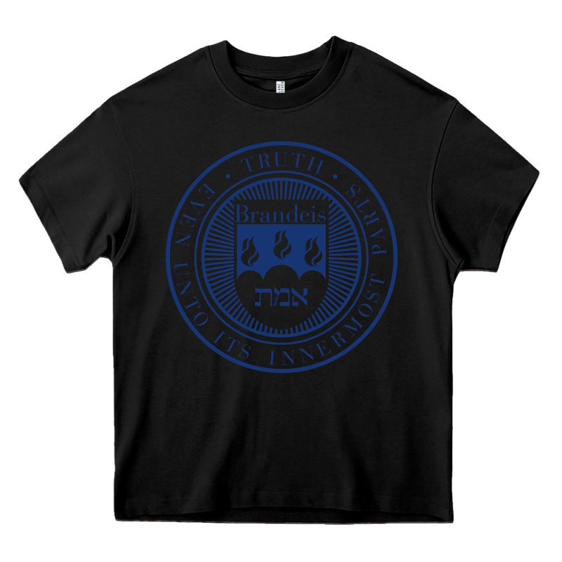 Brandeis University Heavy Core Tee by linhVisuals | Teevron