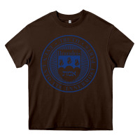 Chocolate Brown Brandeis University Heavy Core Tee - linhVisuals