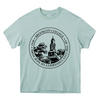 Arona Brooklyn College Heavy Core Tee - linhVisuals