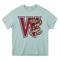 Arona the-wisconsin-timber-rattlers-pen Heavy Core Tee - linhVisuals