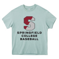 Arona springfield college Heavy Core Tee - linhVisuals