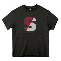 Asphalt springfield college Heavy Core Tee - linhVisuals