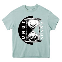 Arona unus annus Heavy Core Tee - linhVisuals