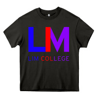 Asphalt lim college Heavy Core Tee - linhVisuals