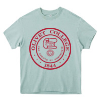 Arona olivet college vectorized Heavy Core Tee - linhVisuals