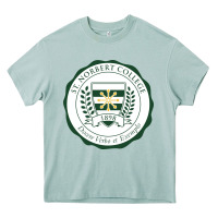 Arona st. norbert college Heavy Core Tee - linhVisuals