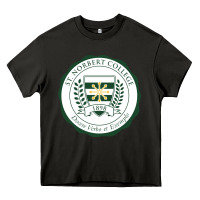 Asphalt st. norbert college Heavy Core Tee - linhVisuals
