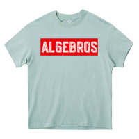 Arona algebros design for math students or a present to ur teacher Heavy Core Tee - linhVisuals